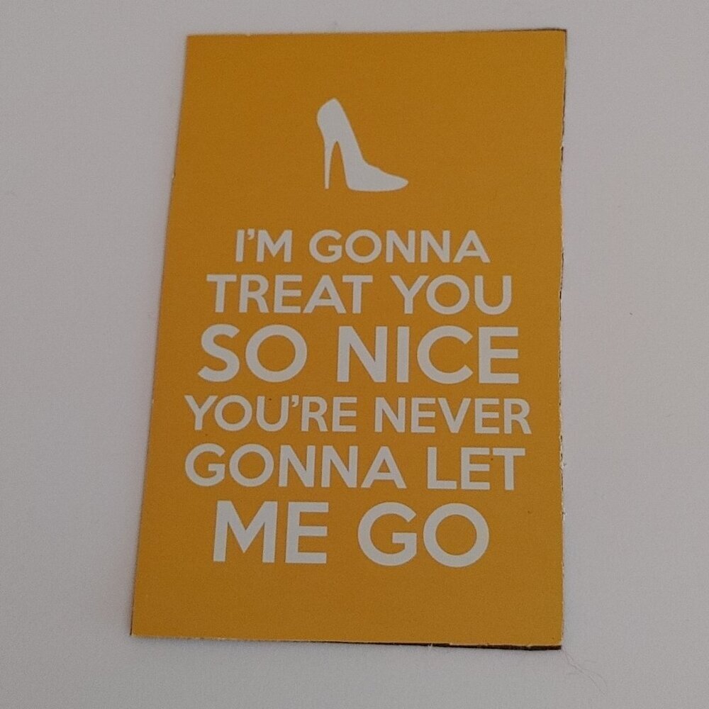 "I'm Gonna Treat You So Nice You're Never Gonna Let Me Go" PRETTY WOMAN Movie